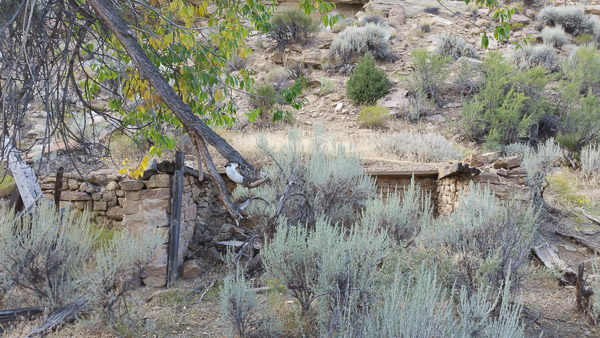 Sego Canyon ghost town